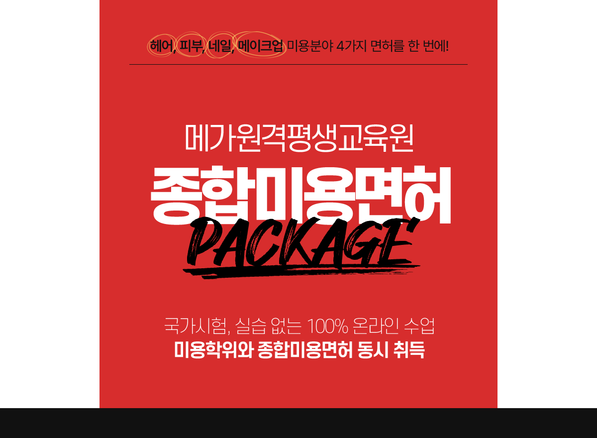 ���, �Ǻ�, ����, ����ũ�� �̿�о� 4���� ���㸦 �� ����!